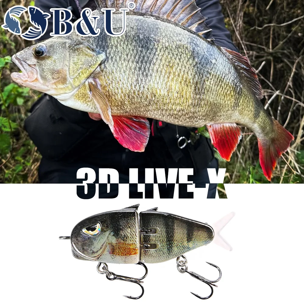 B&U Slow Sinking Fishing Lure  - Fishing Lure Jerkbait review and price